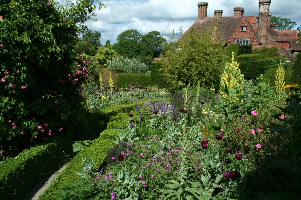 Great Dixter; a wonder or a wilderness?