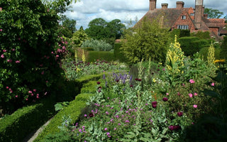 Great Dixter; a wonder or a wilderness?