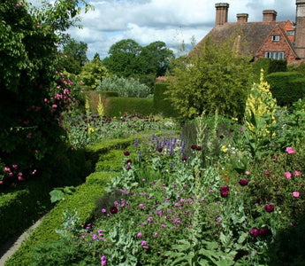Great Dixter; a wonder or a wilderness?