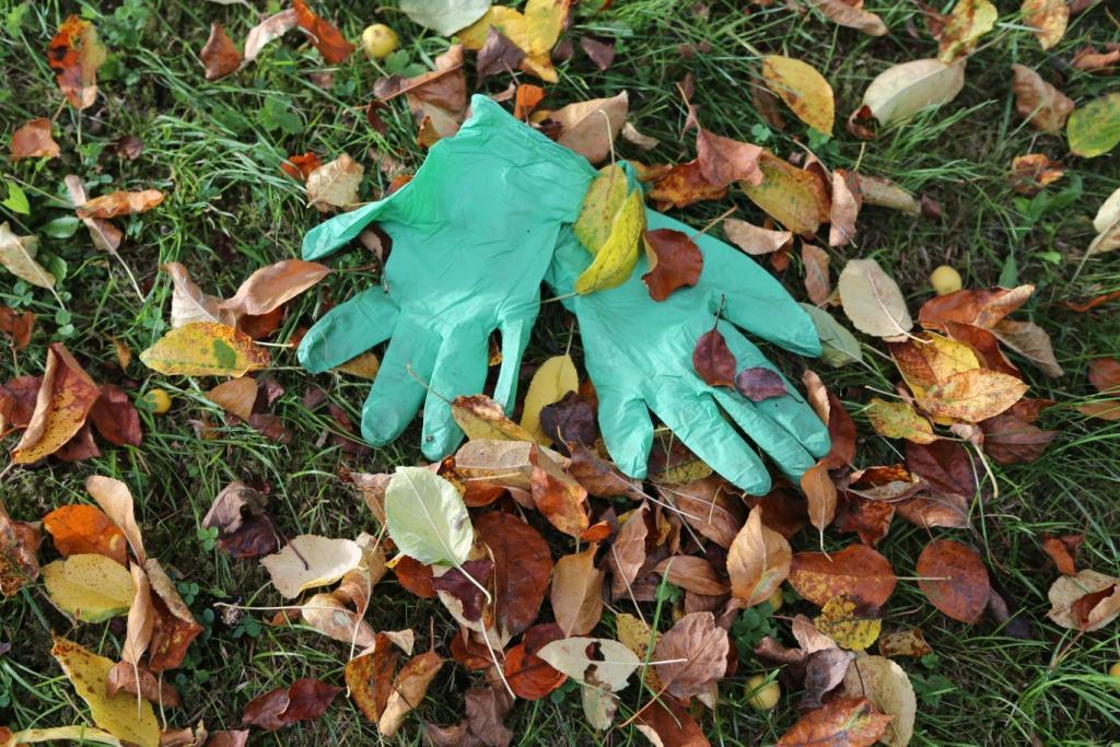 A Glove for all reasons: in the top ten gardening accessories