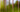Blur in Focus
