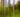 Blur in Focus