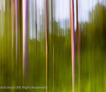 Blur in Focus