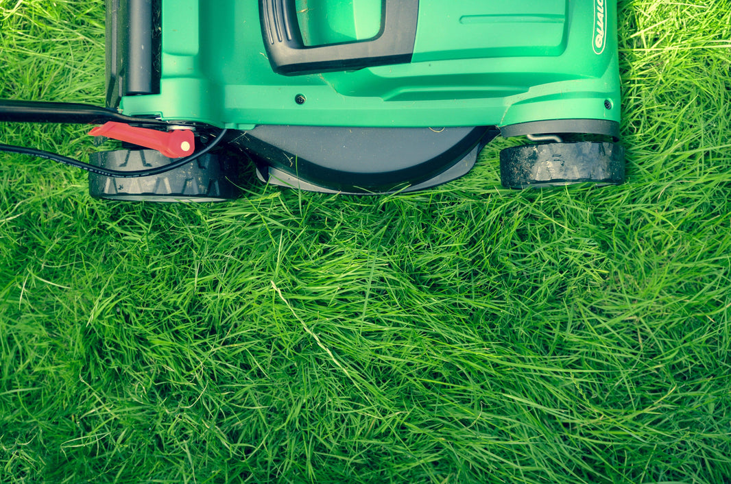 Bring your lawn to life!