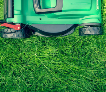 Bring your lawn to life!