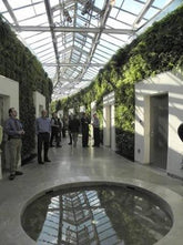 Amazing Facts About Living Green Walls