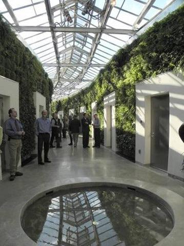 Amazing Facts About Living Green Walls