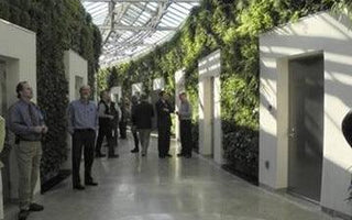 Amazing Facts About Living Green Walls
