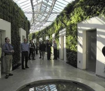 Amazing Facts About Living Green Walls