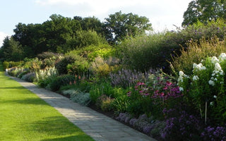 A visit to Tintinhull Garden