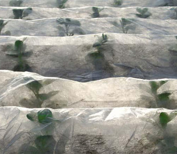 How to Use Horticultural Fleece