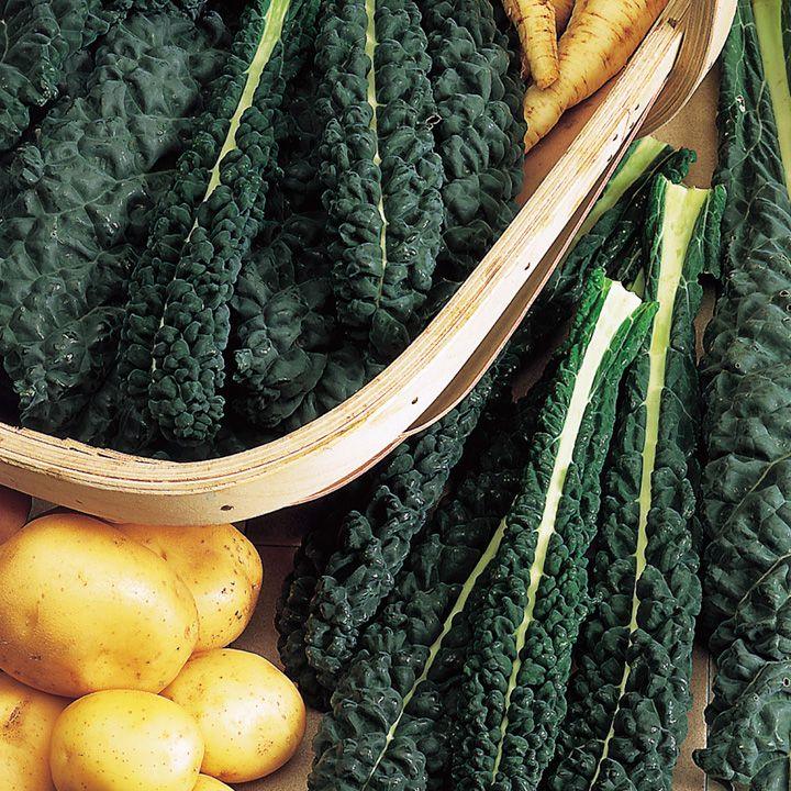 Kale – superfood, gourmet vegetable or cattle fodder?