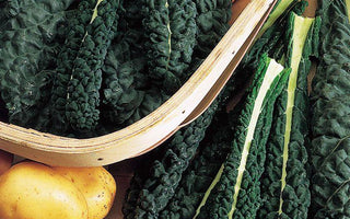 Kale – superfood, gourmet vegetable or cattle fodder?