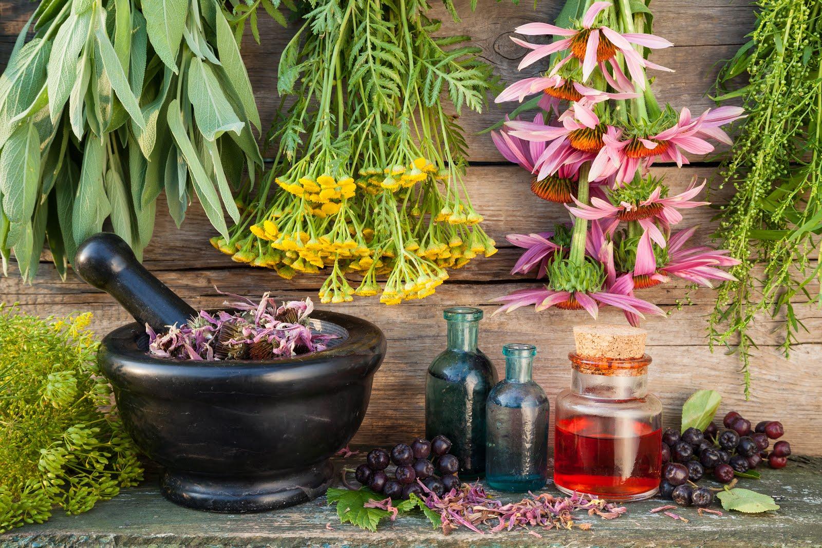Herbal Reinforcement