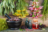Herbal Reinforcement