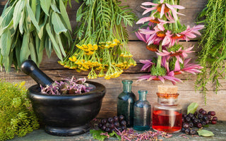 Herbal Reinforcement