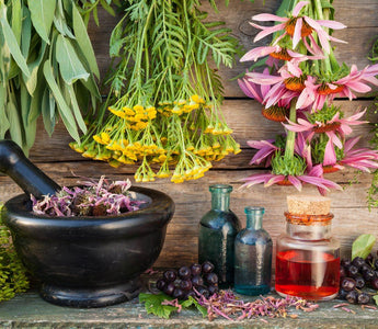 Herbal Reinforcement