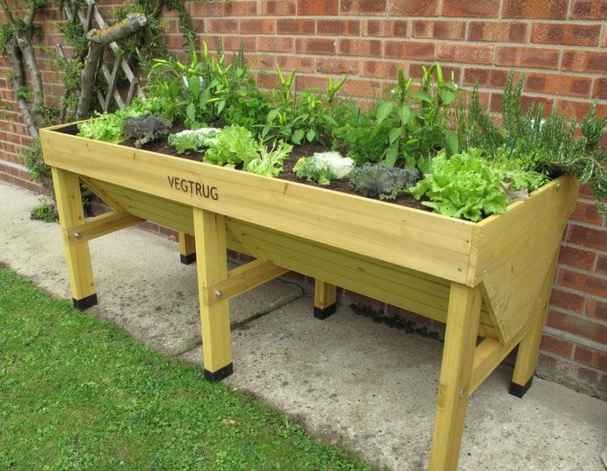 A great way to grow vegetables – almost anywhere