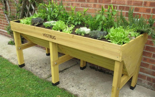 A great way to grow vegetables – almost anywhere