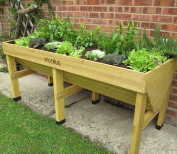A great way to grow vegetables – almost anywhere