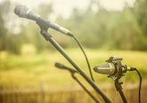 Top 15 Gardening Podcasts