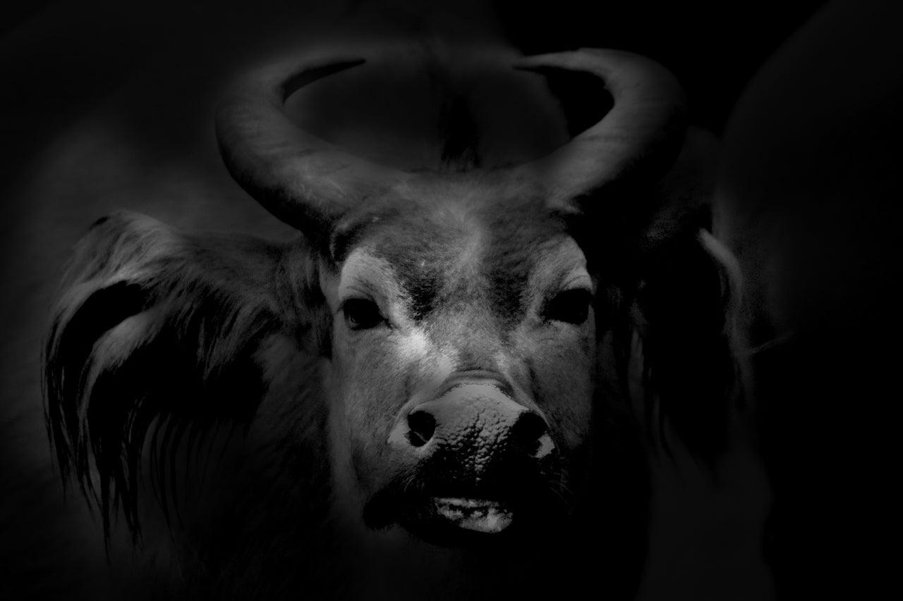 How to Create Low Key Fine Art Black & White Images