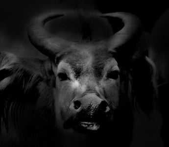 How to Create Low Key Fine Art Black & White Images