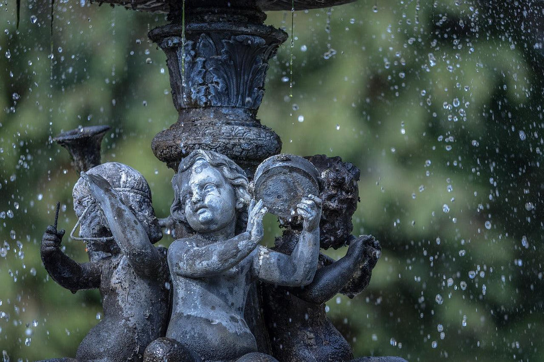 How to Conserve Water and Still Maintain a Beautiful Home Landscape