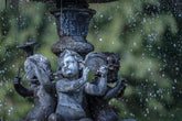 How to Conserve Water and Still Maintain a Beautiful Home Landscape