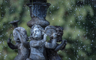 How to Conserve Water and Still Maintain a Beautiful Home Landscape