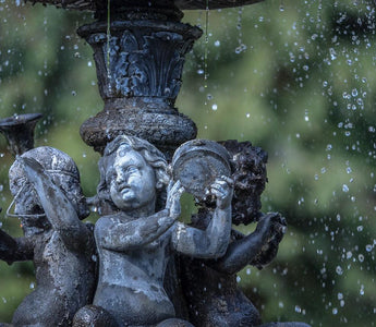 How to Conserve Water and Still Maintain a Beautiful Home Landscape