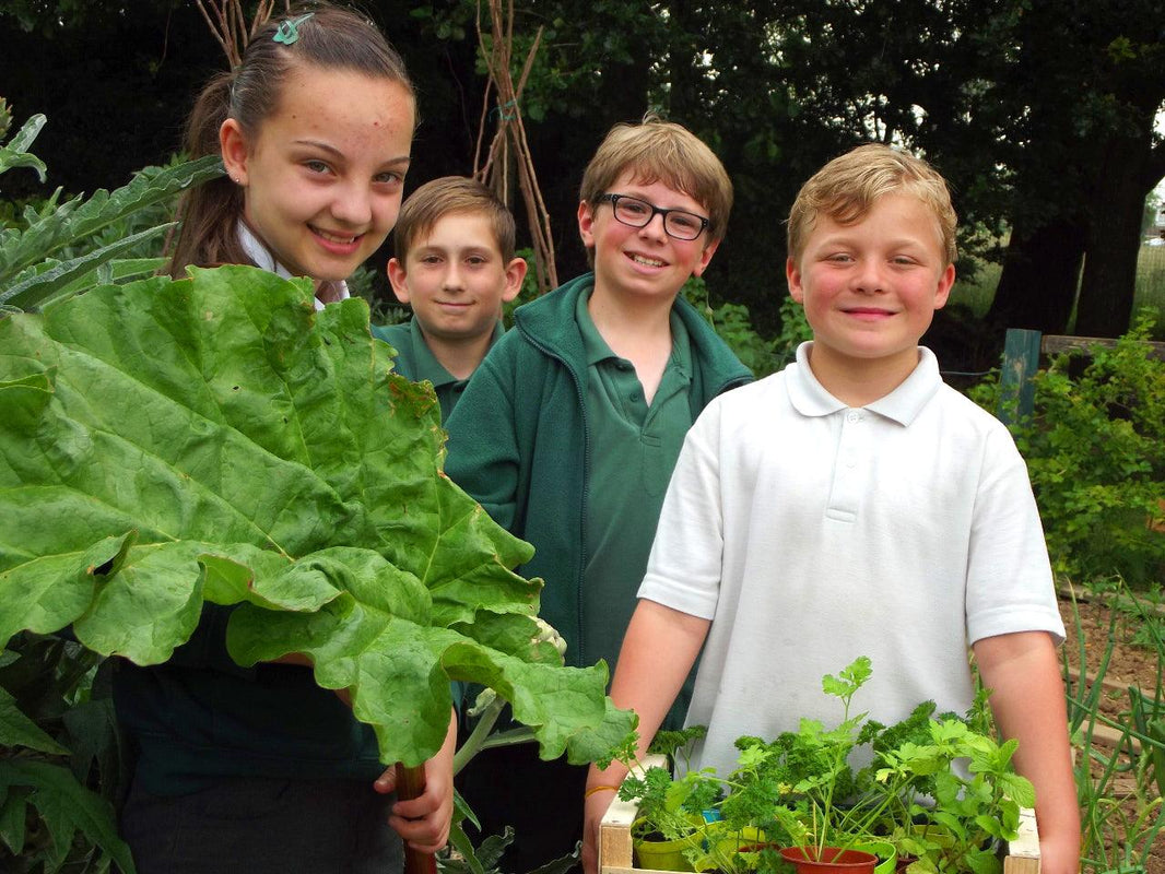 Teaching Children To Catch The Gardening Bug