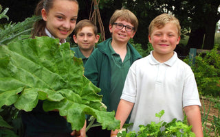 Teaching Children To Catch The Gardening Bug