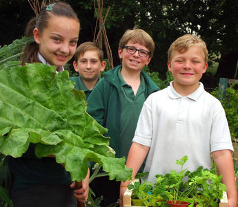 Teaching Children To Catch The Gardening Bug