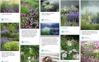 Garden Ideas:  The Best Gardening Boards on Pinterest