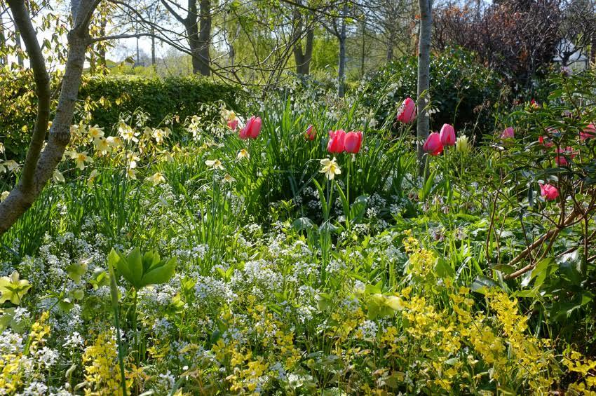 Community Planting