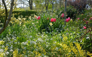 Community Planting