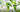 Discover the Joy of Online Gardening Courses to Make Your Garden Bloom