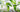 Discover the Joy of Online Gardening Courses to Make Your Garden Bloom