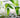 Discover the Joy of Online Gardening Courses to Make Your Garden Bloom