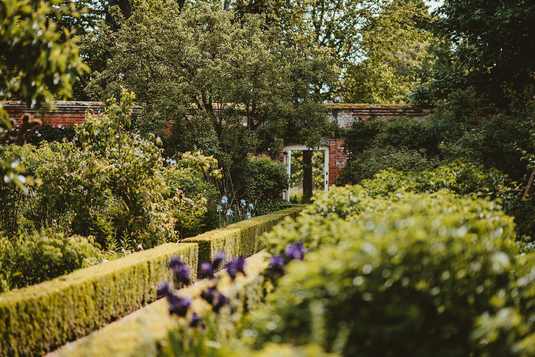 Unearth Your Passion: Achieve an RHS Certificate in Horticulture with Learning with Experts