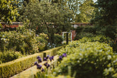 Unearth Your Passion: Achieve an RHS Certificate in Horticulture with Learning with Experts