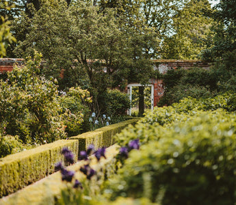 Unearth Your Passion: Achieve an RHS Certificate in Horticulture with Learning with Experts