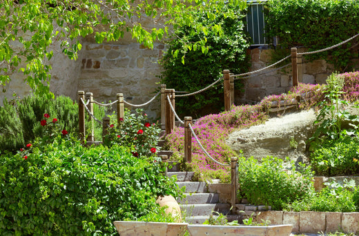 Garden Design Courses - Could You Be the Next Great Designer?