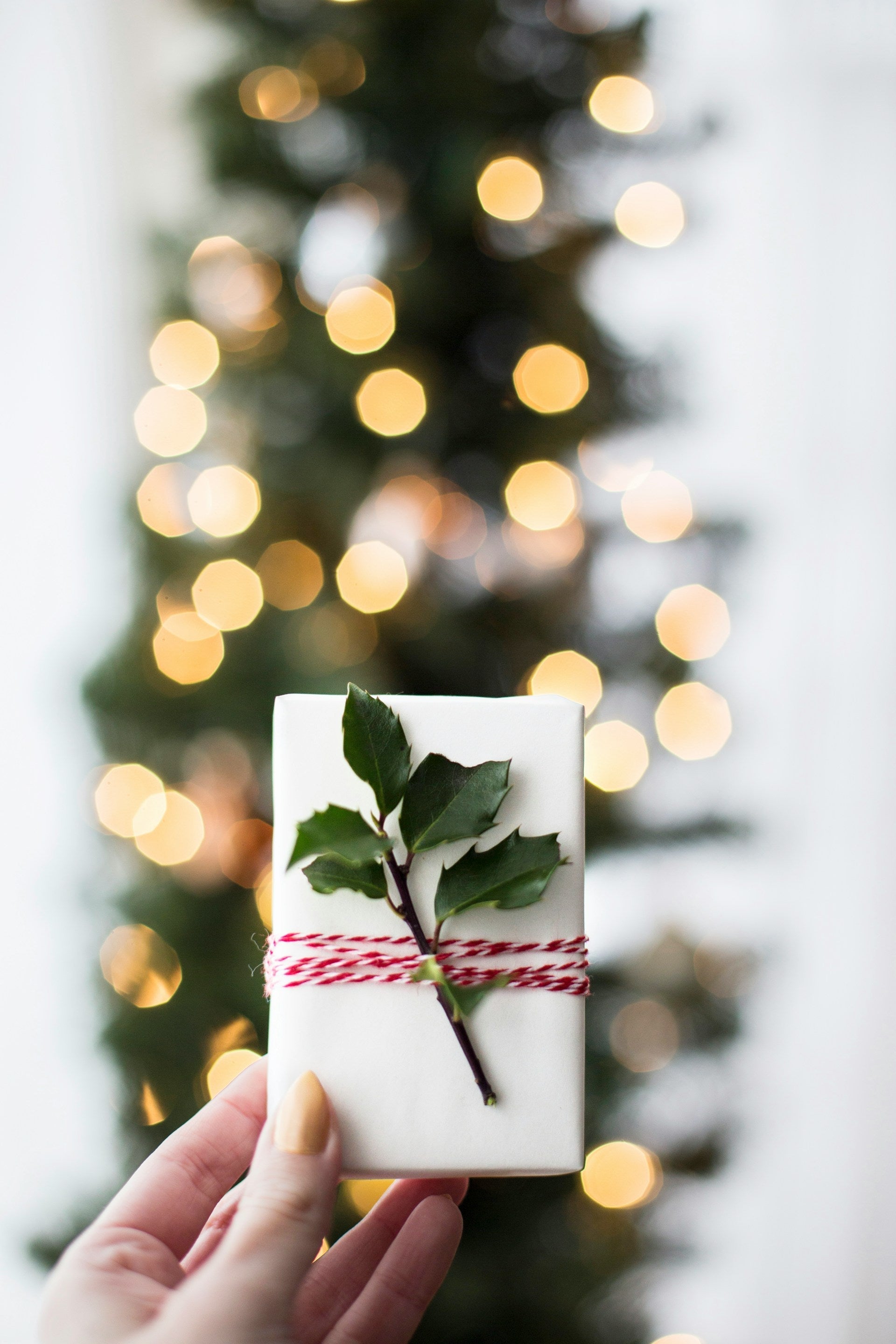 Christmas Gift Guide 2024: Expert-Led Online Courses for Every Passion