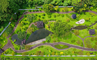 Design Your Dream Garden with Online Garden Planning Courses from Learning with Experts