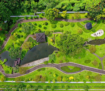 Design Your Dream Garden with Online Garden Planning Courses from Learning with Experts