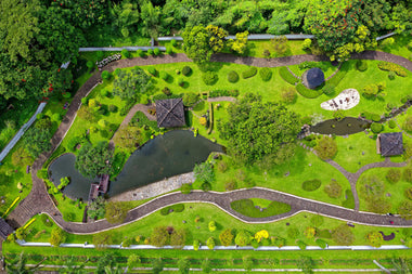 Design Your Dream Garden with Online Garden Planning Courses from Learning with Experts