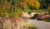 Piet Oudolf Vlinderhof Garden