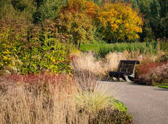 Piet Oudolf Vlinderhof Garden